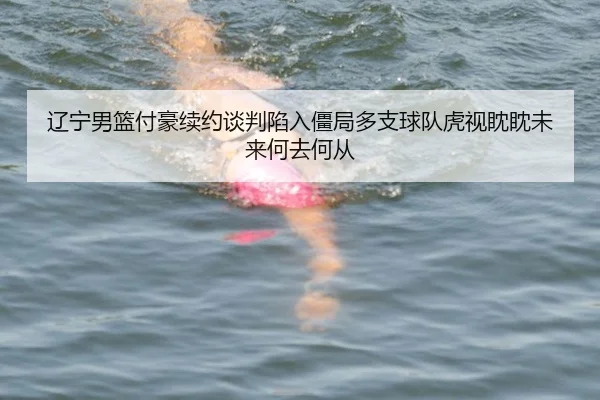 辽宁男篮付豪续约谈判陷入僵局多支球队虎视眈眈未来何去何从