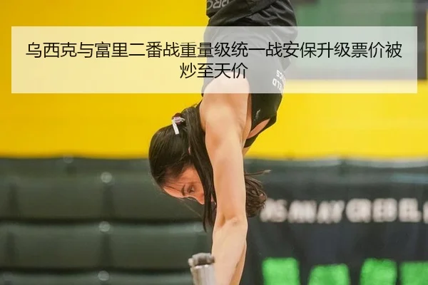乌西克与富里二番战重量级统一战安保升级票价被炒至天价